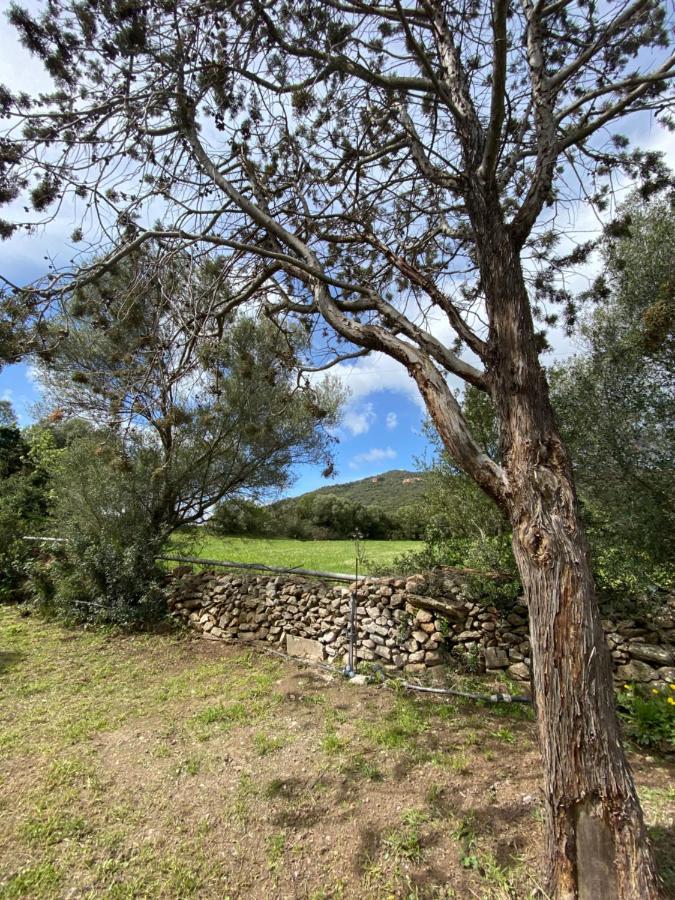 Casa Vacanza Porta Smeralda Olbia Exteriör bild
