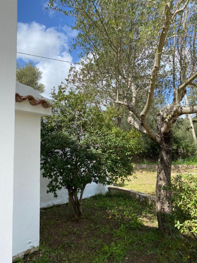 Casa Vacanza Porta Smeralda Olbia Exteriör bild