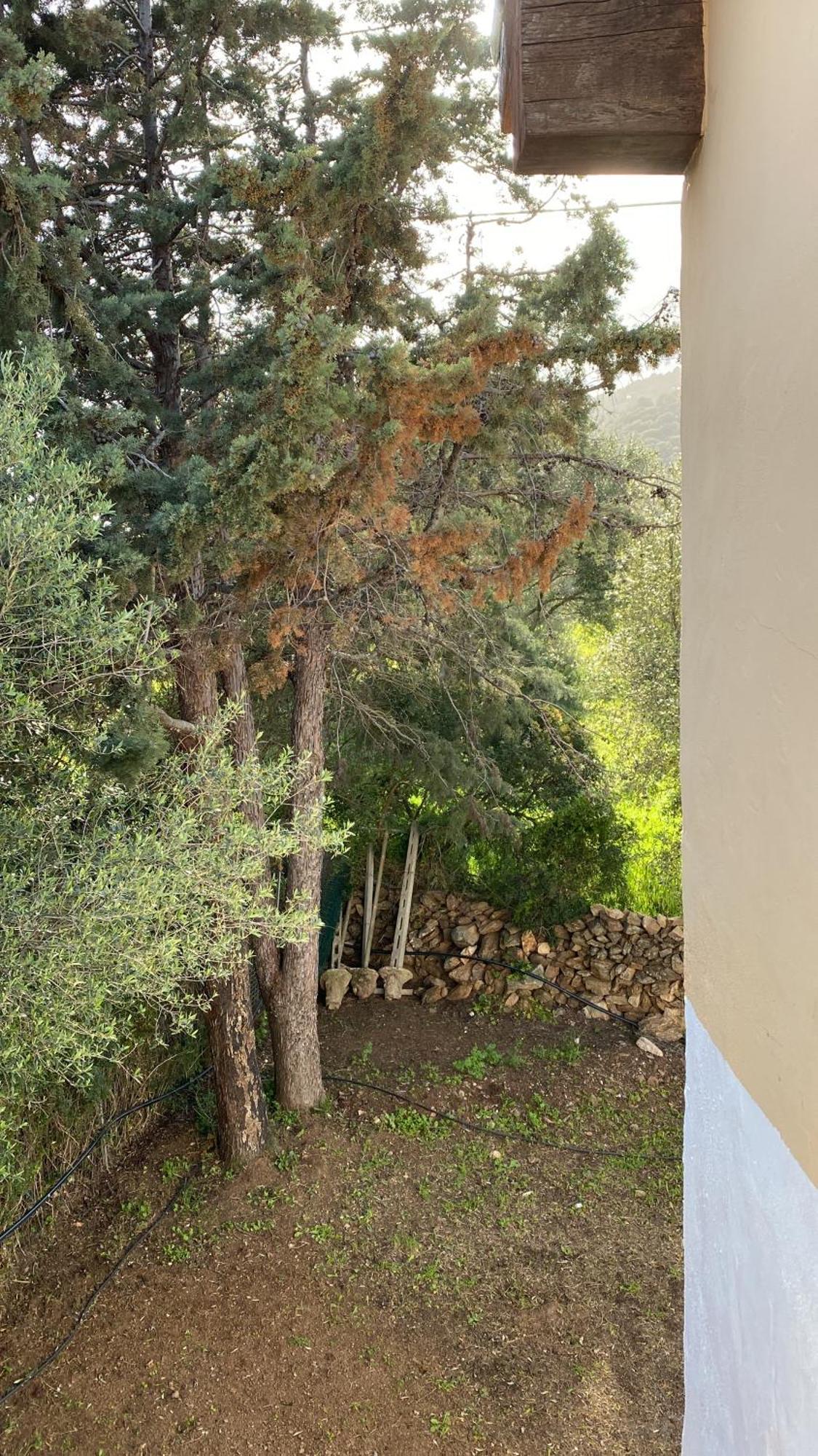 Casa Vacanza Porta Smeralda Olbia Exteriör bild
